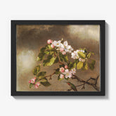 Hummingbird and Apple Blossoms by Martin Johnson Heade - thumbnail_1_bf_67312d1812f9211d49d3d74a